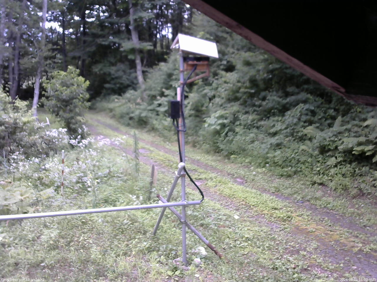 長野県菅平高原 ゆたか山荘 南側 2026/08/01 11:00