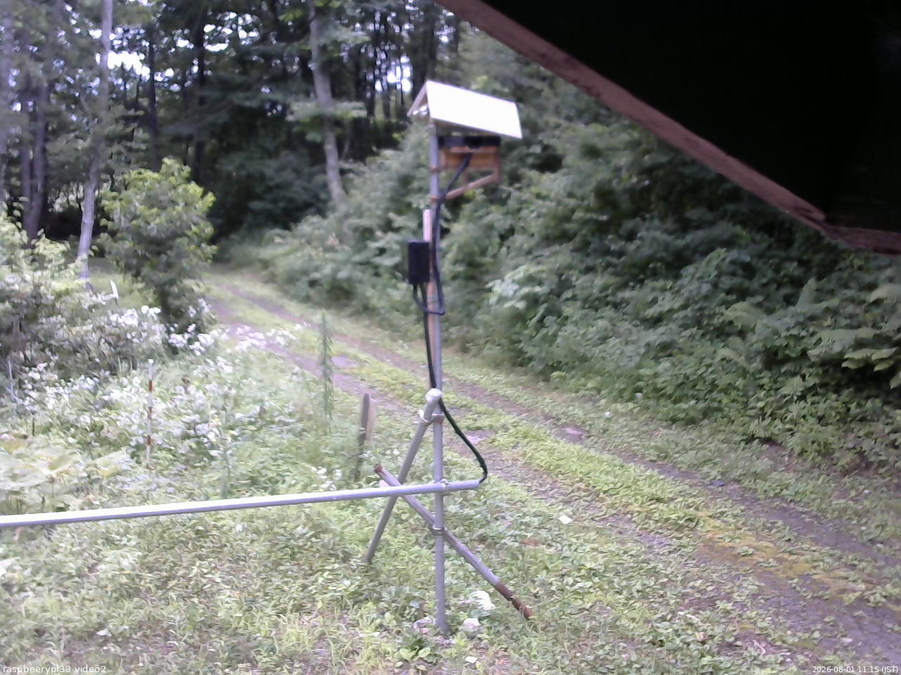 長野県菅平高原 ゆたか山荘 南側 2026/08/01 11:15