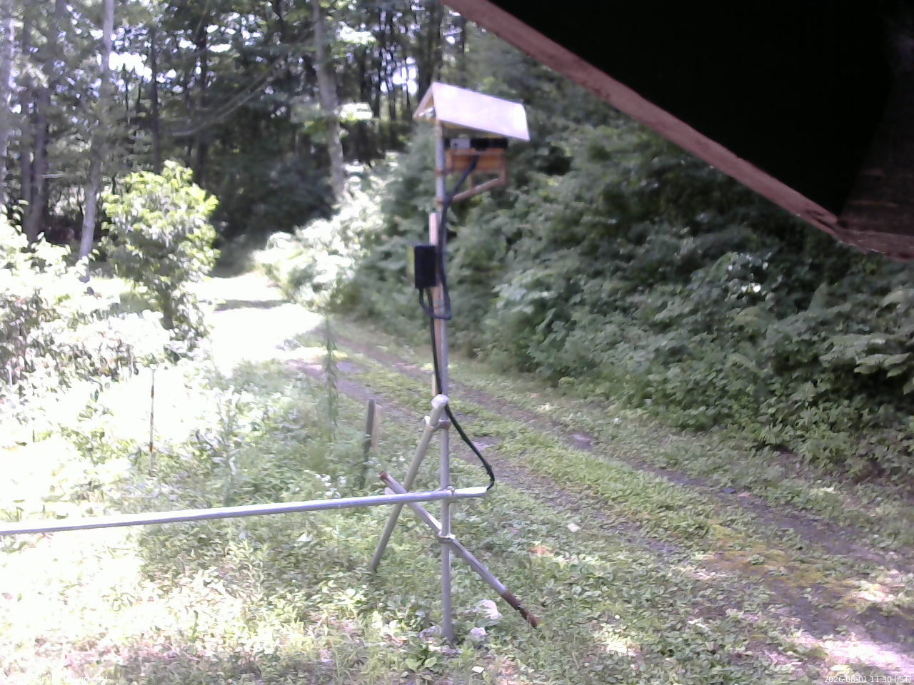 長野県菅平高原 ゆたか山荘 南側 2026/08/01 11:30
