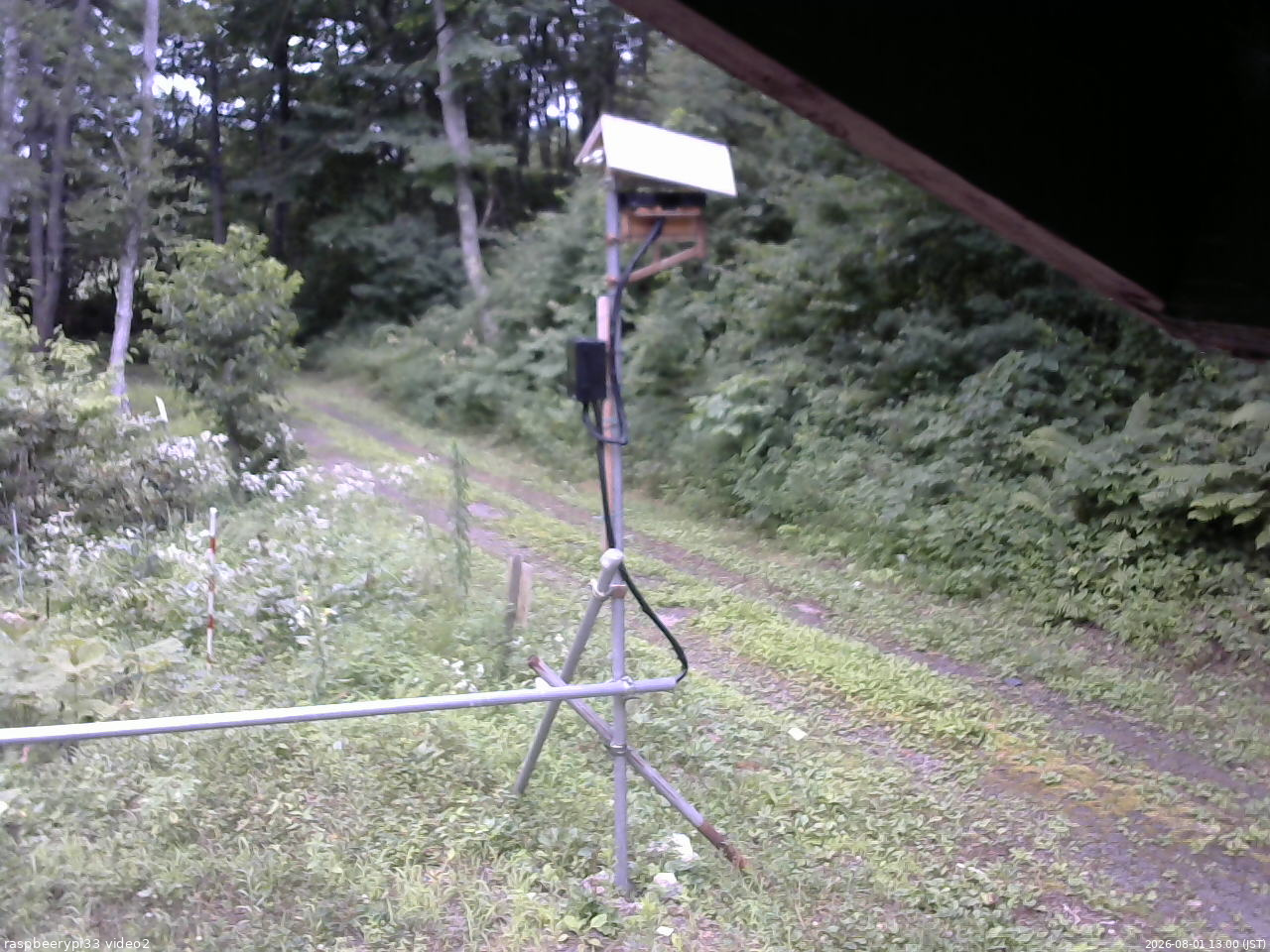 長野県菅平高原 ゆたか山荘 南側 2026/08/01 13:00