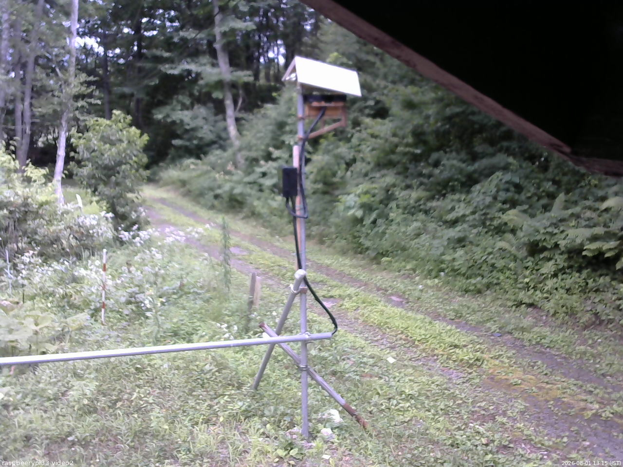 長野県菅平高原 ゆたか山荘 南側 2026/08/01 13:15