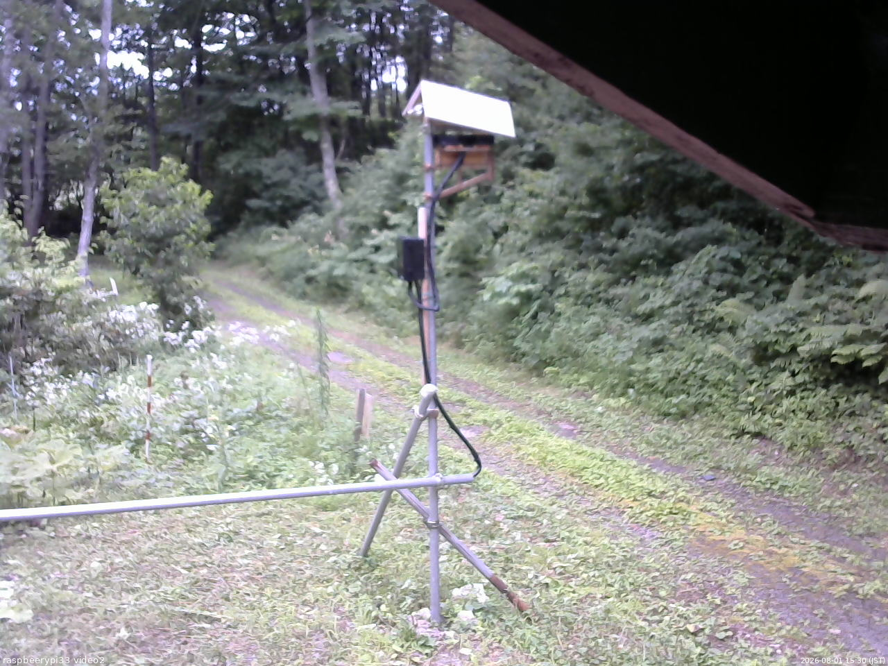 長野県菅平高原 ゆたか山荘 南側 2026/08/01 15:30