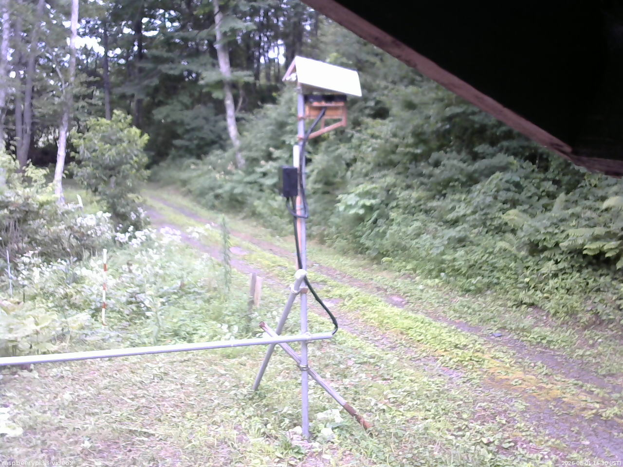 長野県菅平高原 ゆたか山荘 南側 2026/08/01 16:30