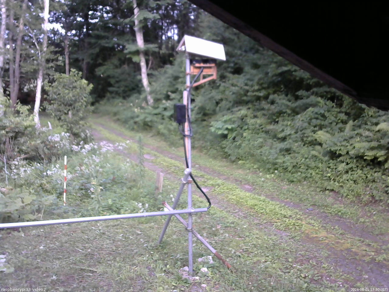 長野県菅平高原 ゆたか山荘 南側 2026/08/01 17:30