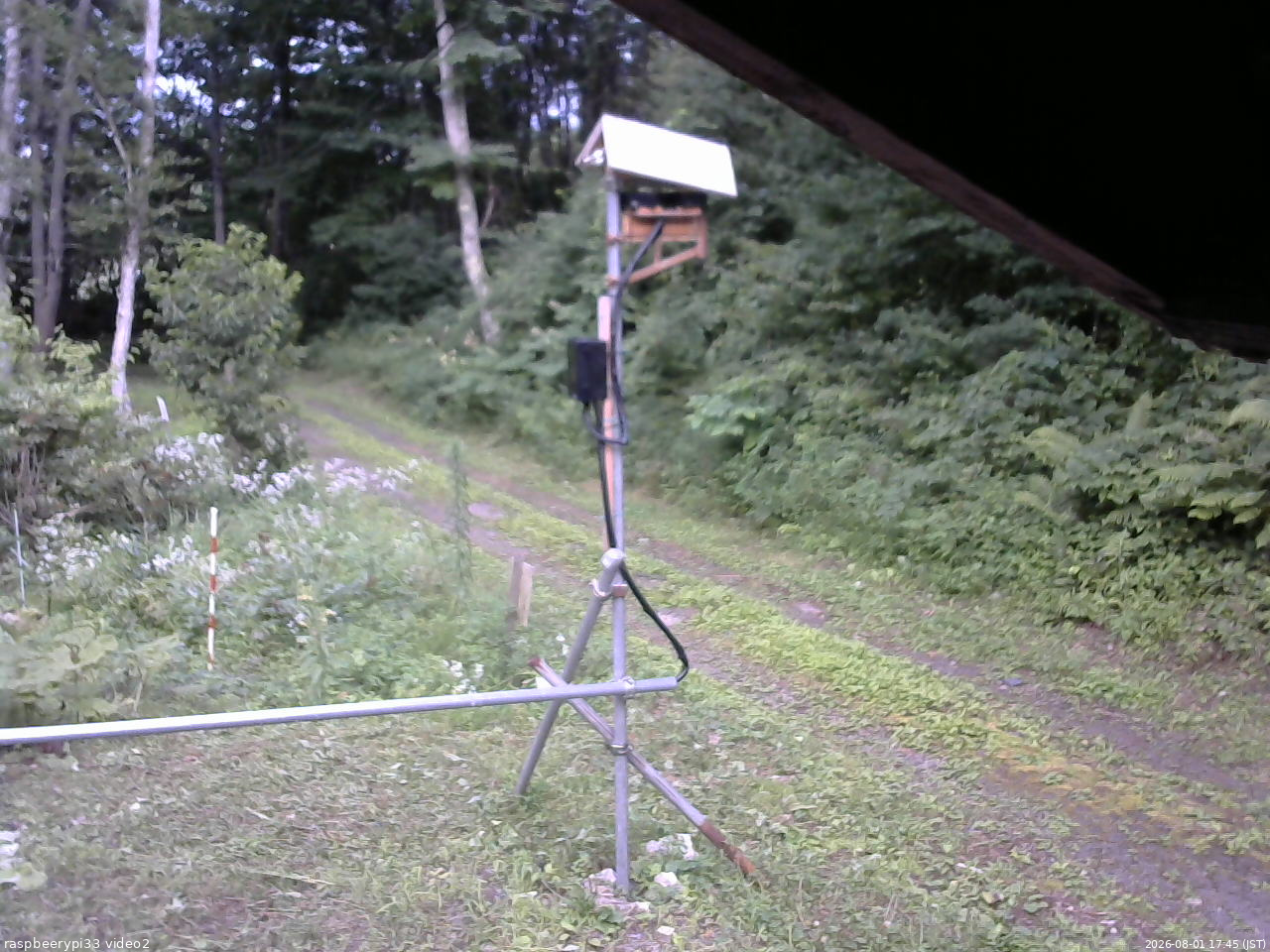 長野県菅平高原 ゆたか山荘 南側 2026/08/01 17:45