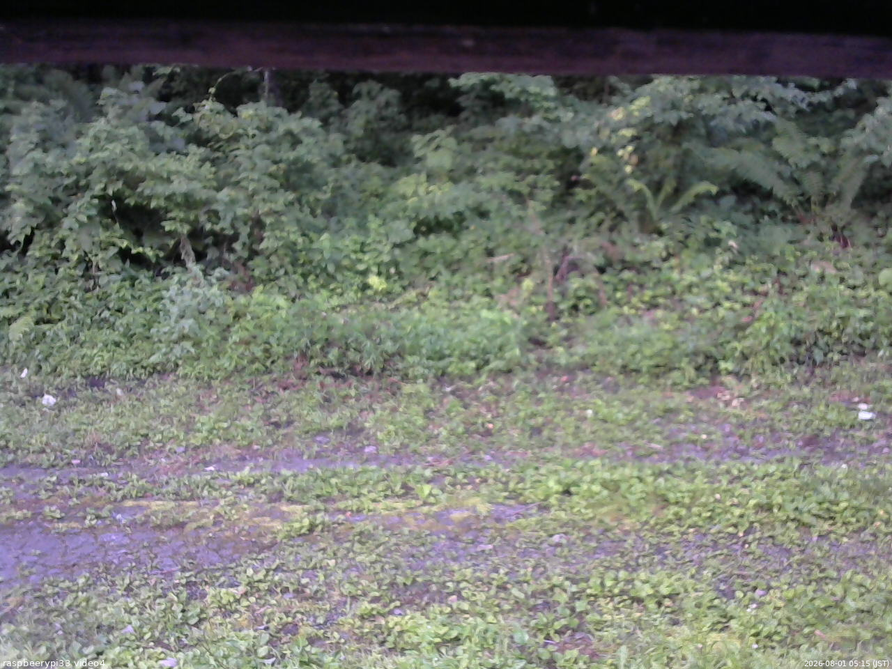 長野県菅平高原 ゆたか山荘 東側(坂下) 2026/08/01 05:15