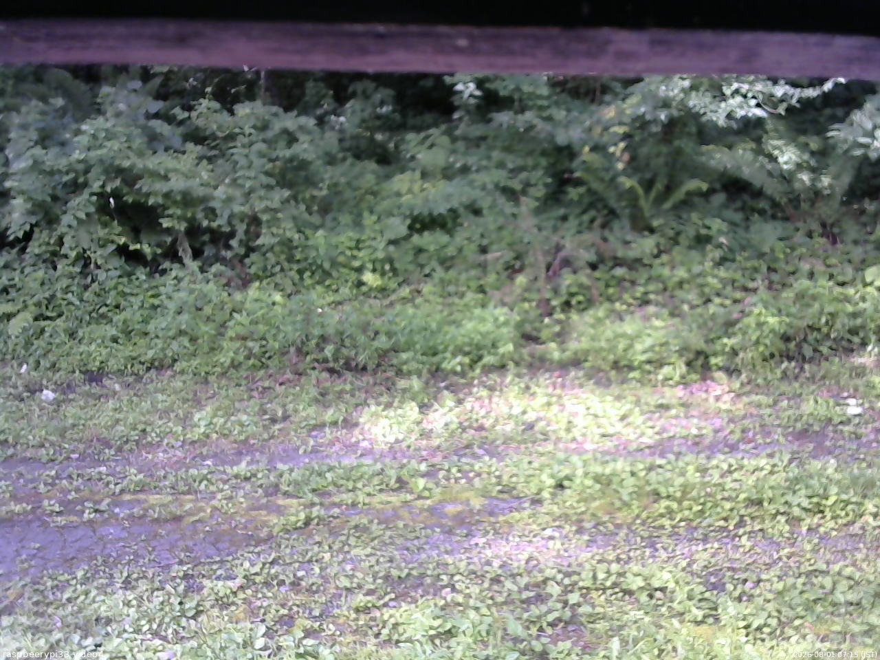 長野県菅平高原 ゆたか山荘 東側(坂下) 2026/08/01 07:15