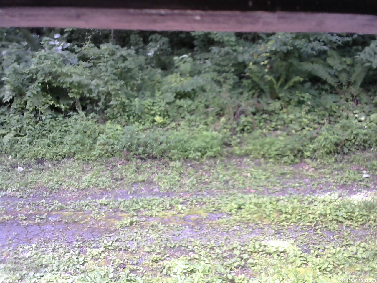 長野県菅平高原 ゆたか山荘 東側(坂下) 2026/08/01 10:00