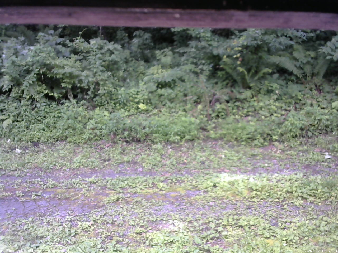 長野県菅平高原 ゆたか山荘 東側(坂下) 2026/08/01 10:15