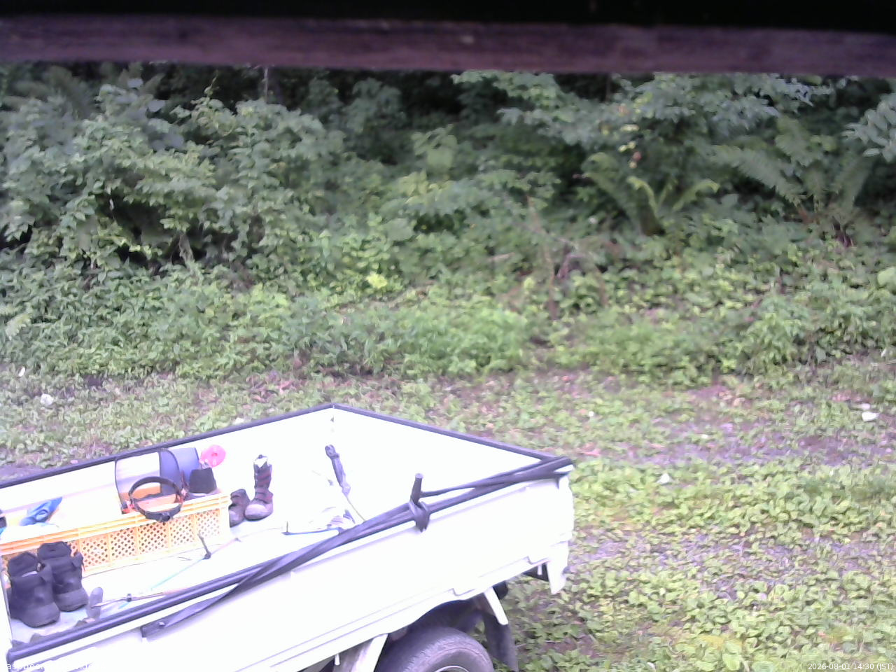 長野県菅平高原 ゆたか山荘 東側(坂下) 2026/08/01 14:30