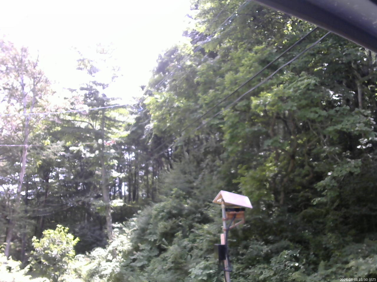 長野県菅平高原 ゆたか山荘 温度計 2026/08/01 11:30