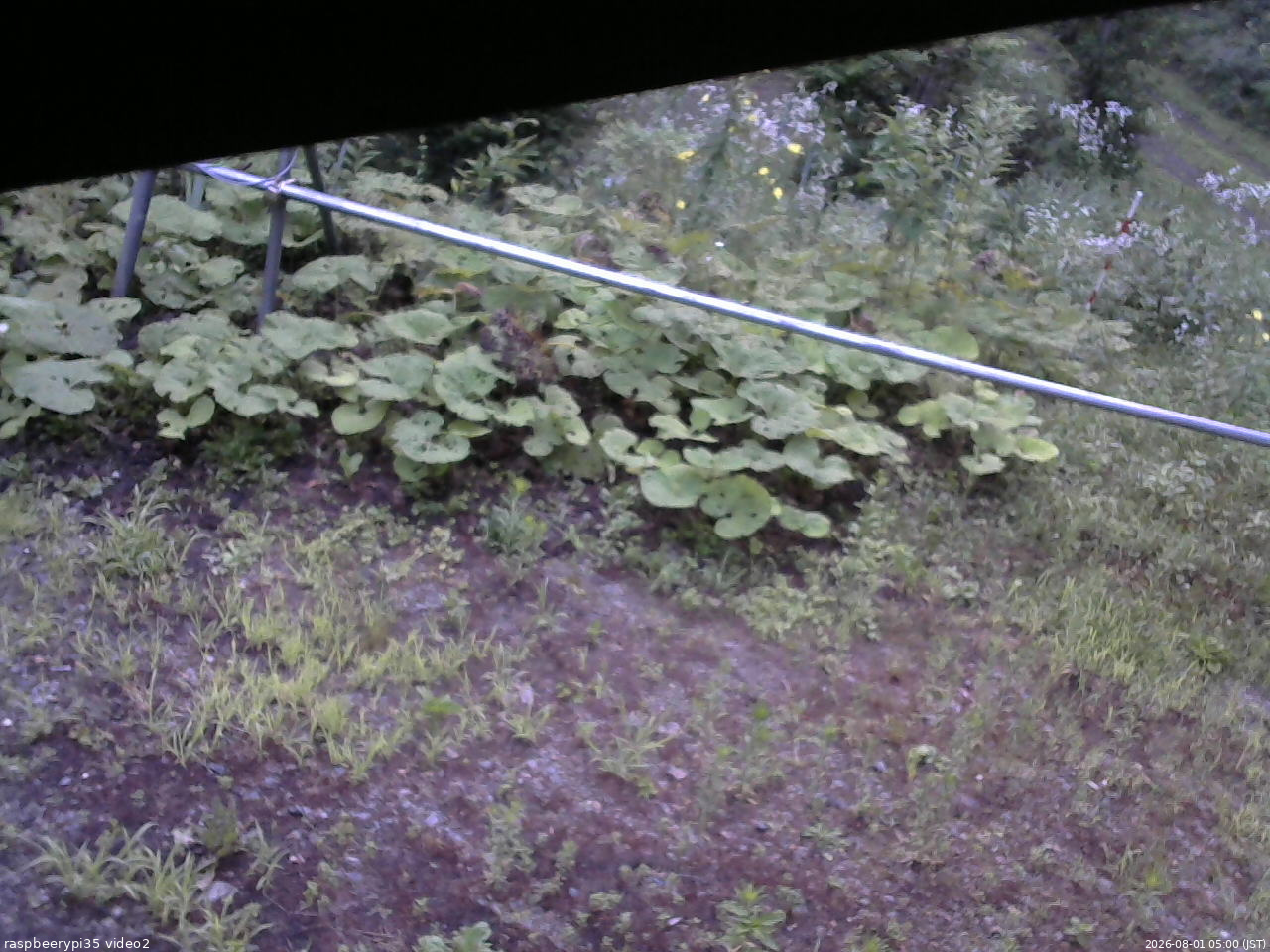 長野県菅平高原 ゆたか山荘 駐車場 2026/08/01 05:00