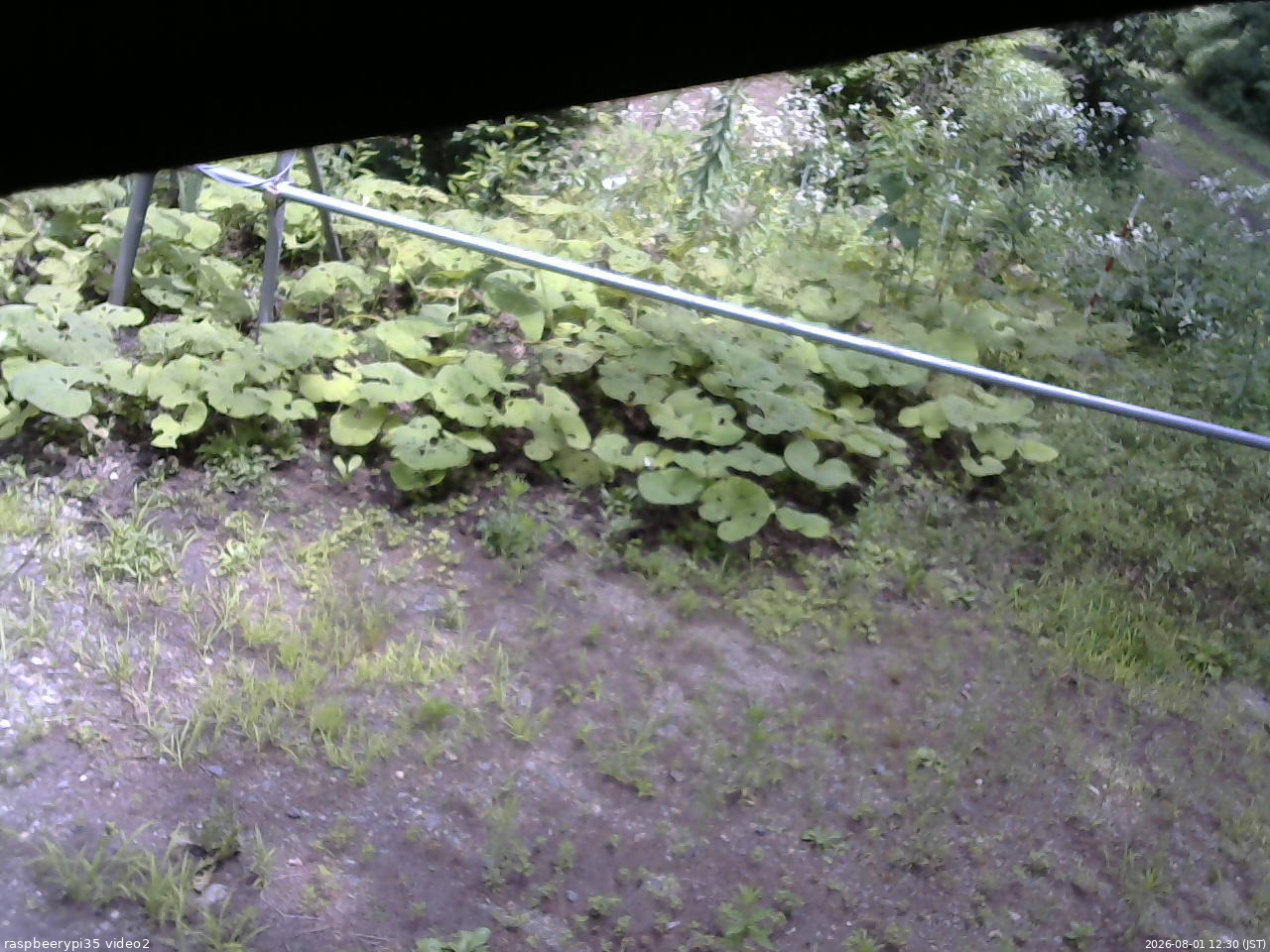 長野県菅平高原 ゆたか山荘 駐車場 2026/08/01 12:30