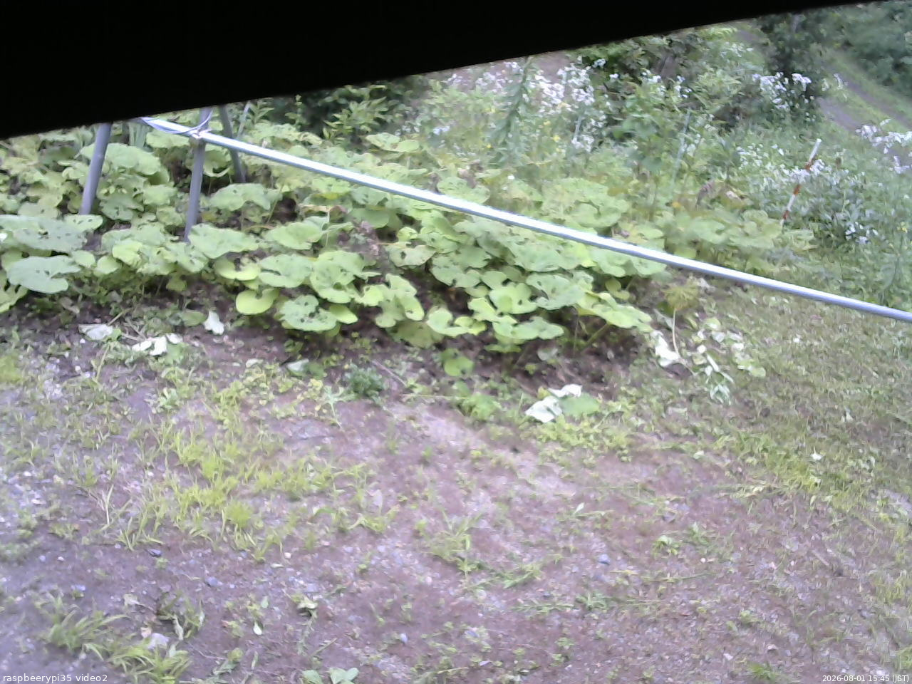 長野県菅平高原 ゆたか山荘 駐車場 2026/08/01 15:45