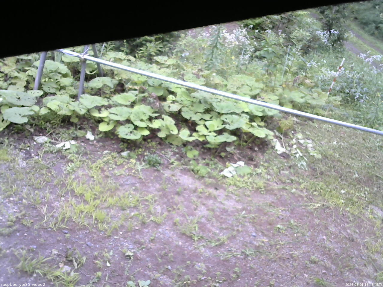 長野県菅平高原 ゆたか山荘 駐車場 2026/08/01 16:45