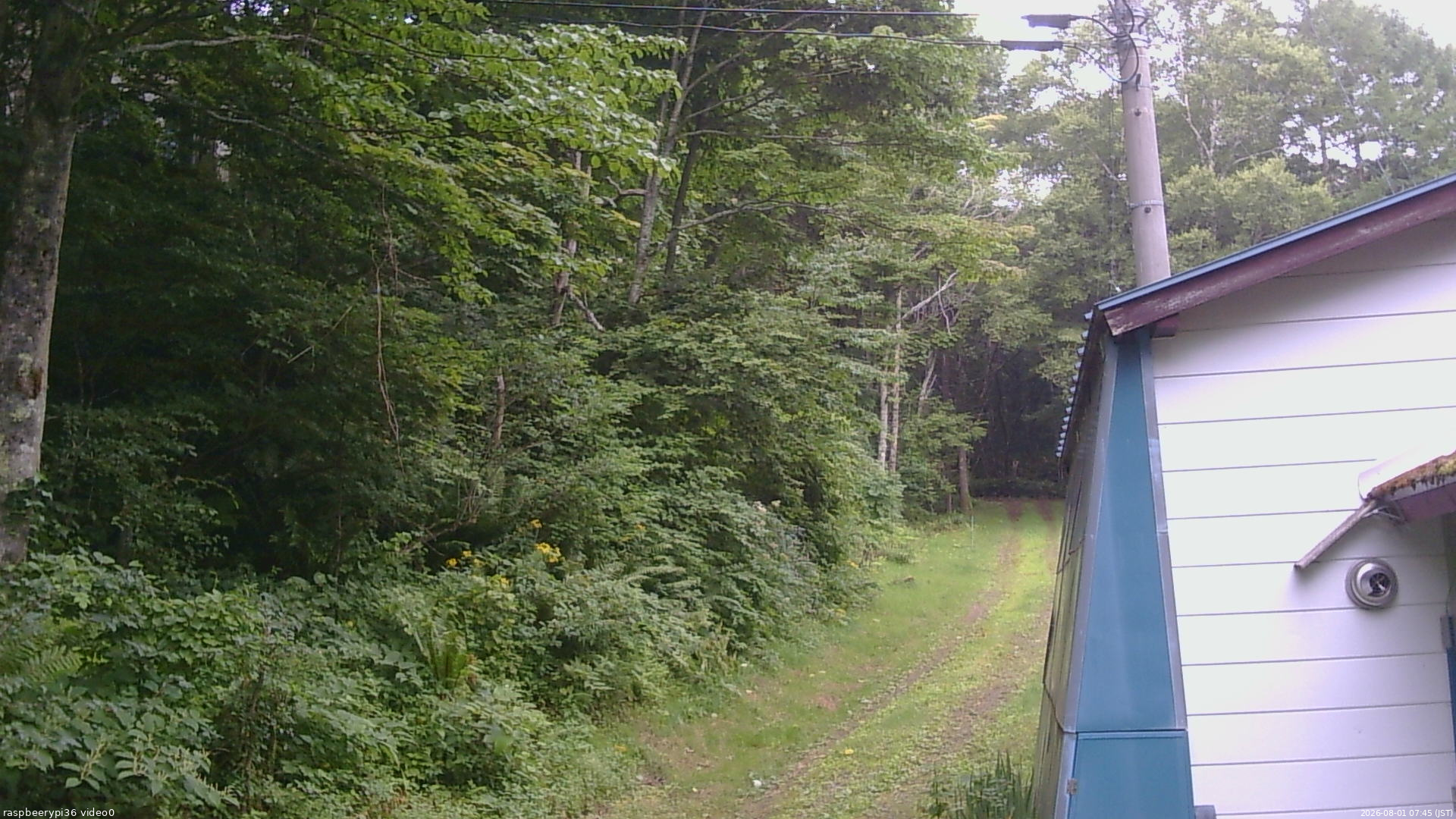 長野県菅平高原 ゆたか山荘 ゆたか山荘 2026/08/01 07:45