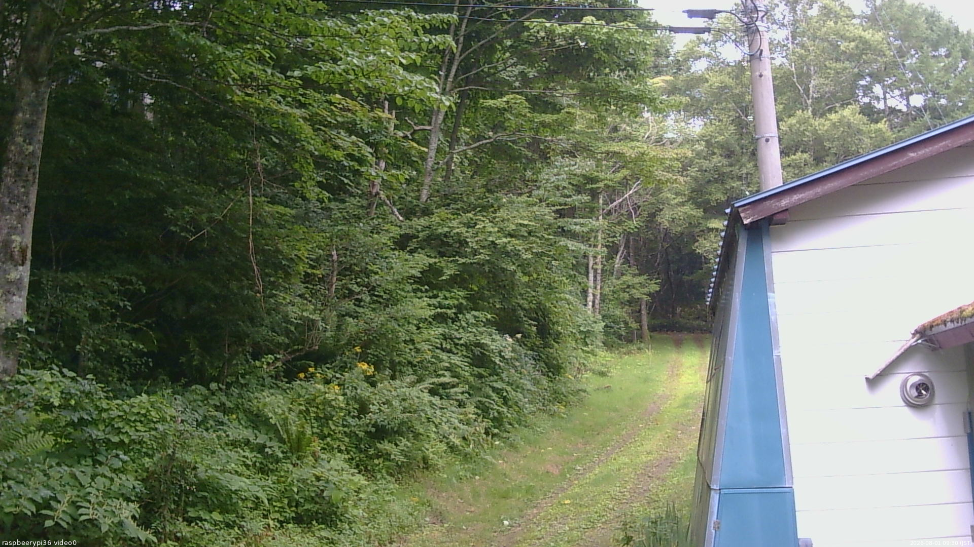 長野県菅平高原 ゆたか山荘 ゆたか山荘 2026/08/01 09:30