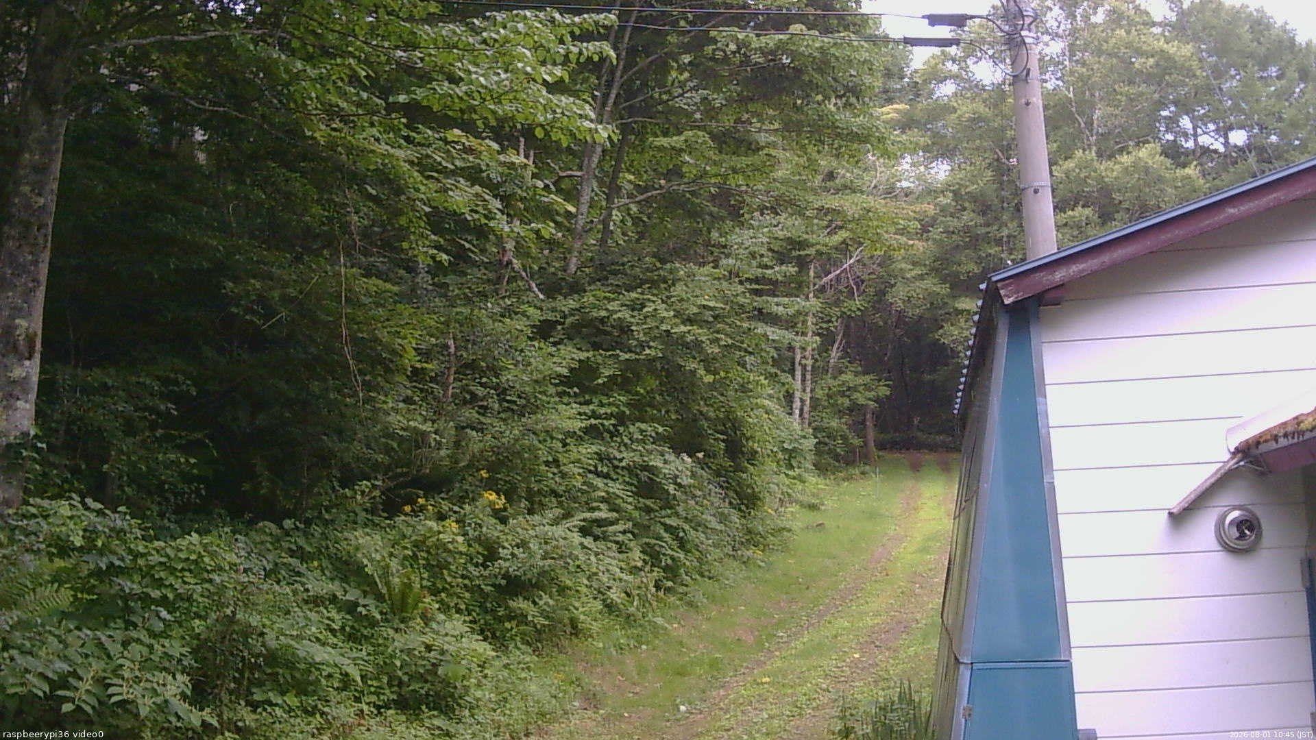 長野県菅平高原 ゆたか山荘 ゆたか山荘 2026/08/01 10:45