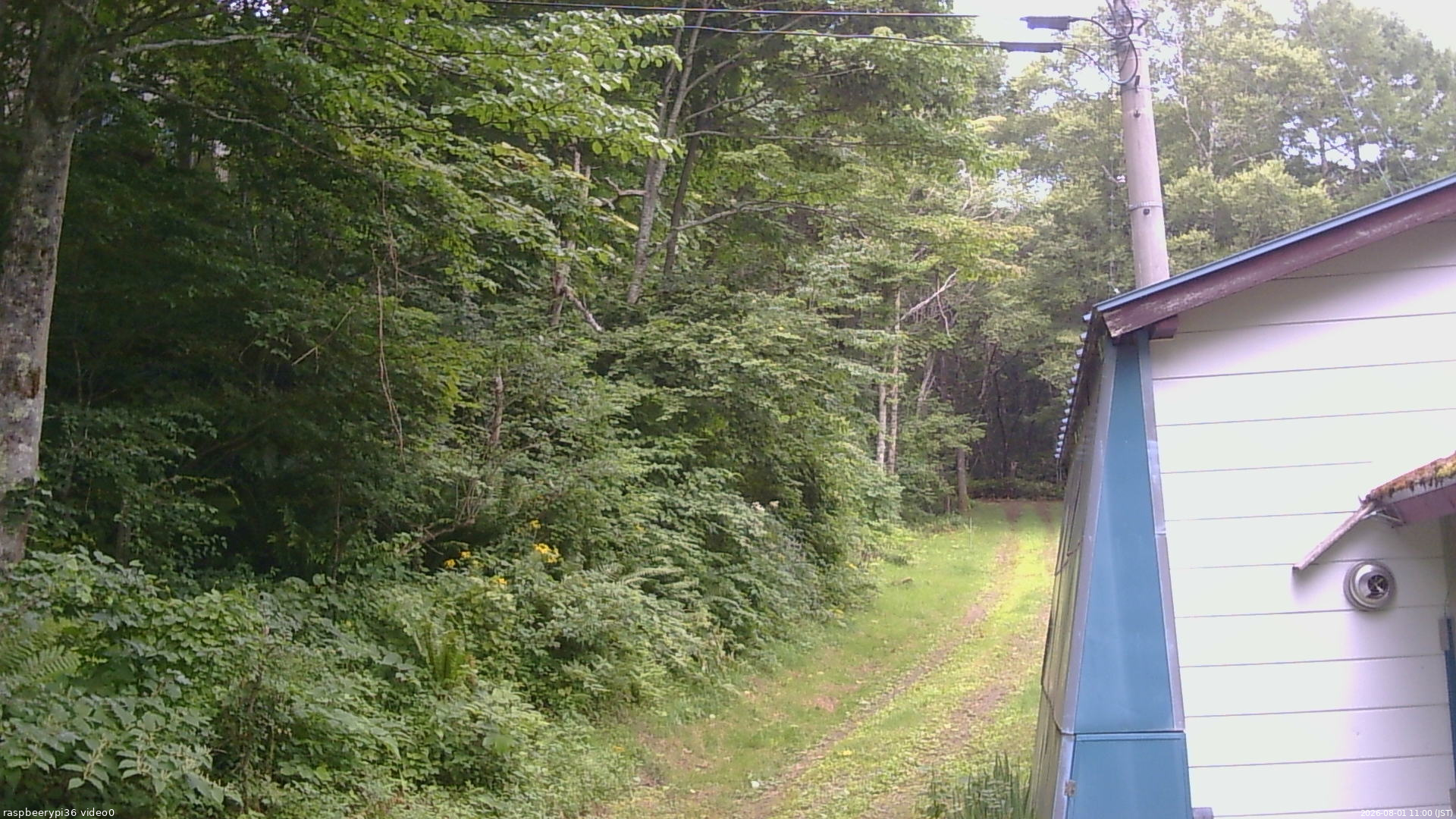 長野県菅平高原 ゆたか山荘 ゆたか山荘 2026/08/01 11:00
