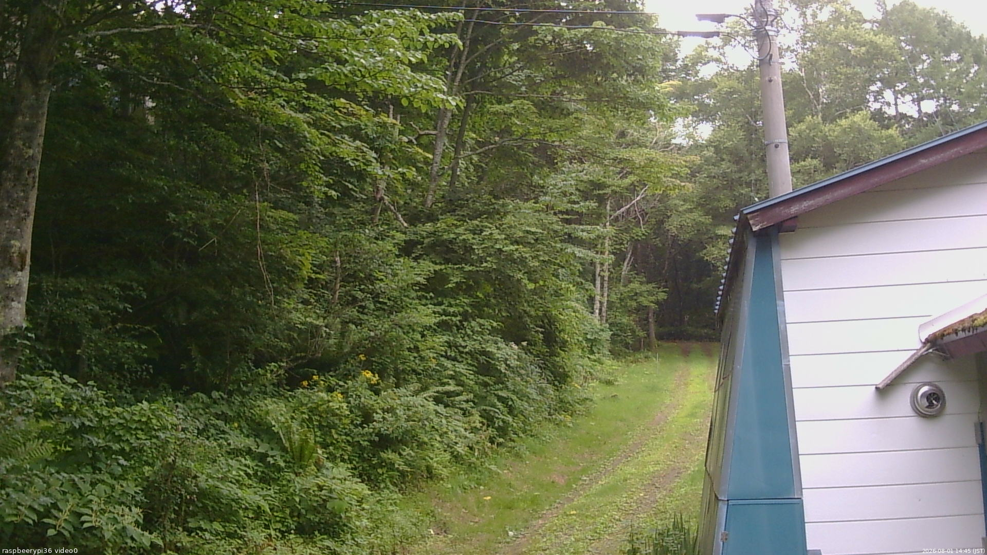 長野県菅平高原 ゆたか山荘 ゆたか山荘 2026/08/01 14:45