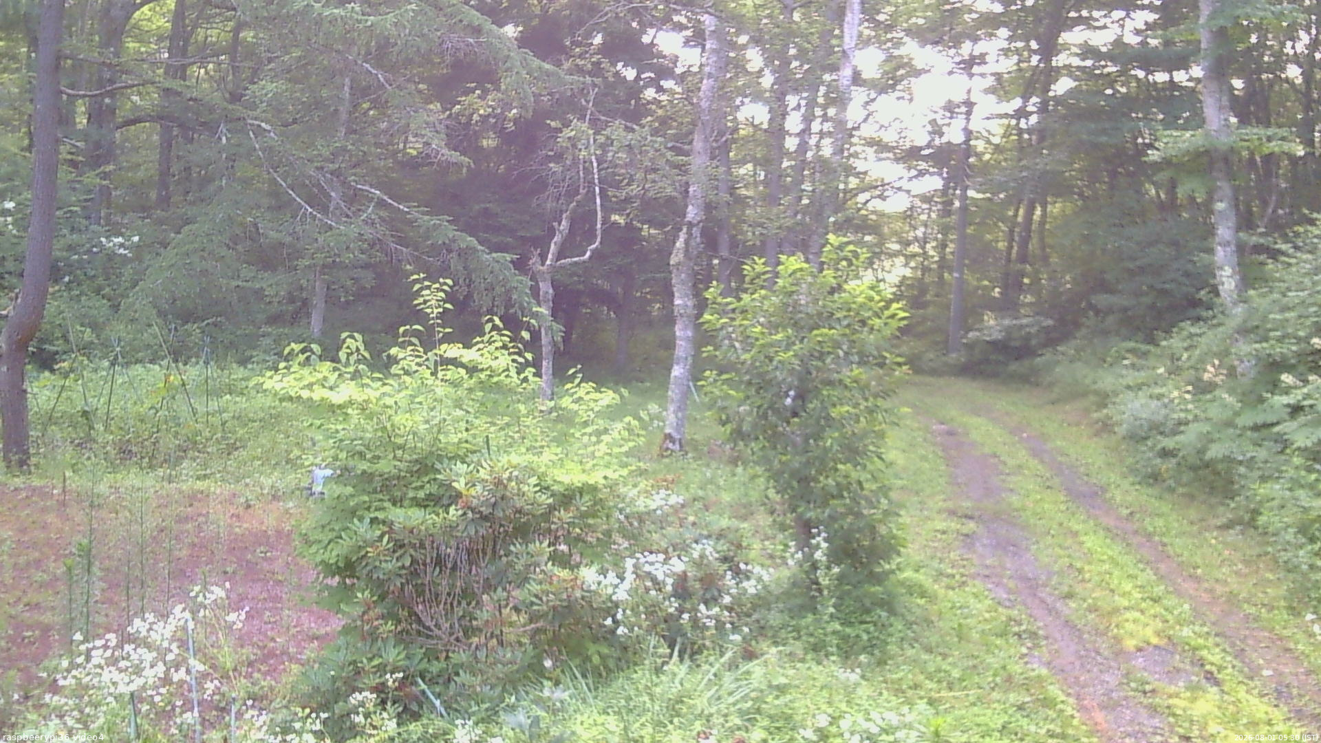 長野県菅平高原 ゆたか山荘 坂上 2026/08/01 05:30