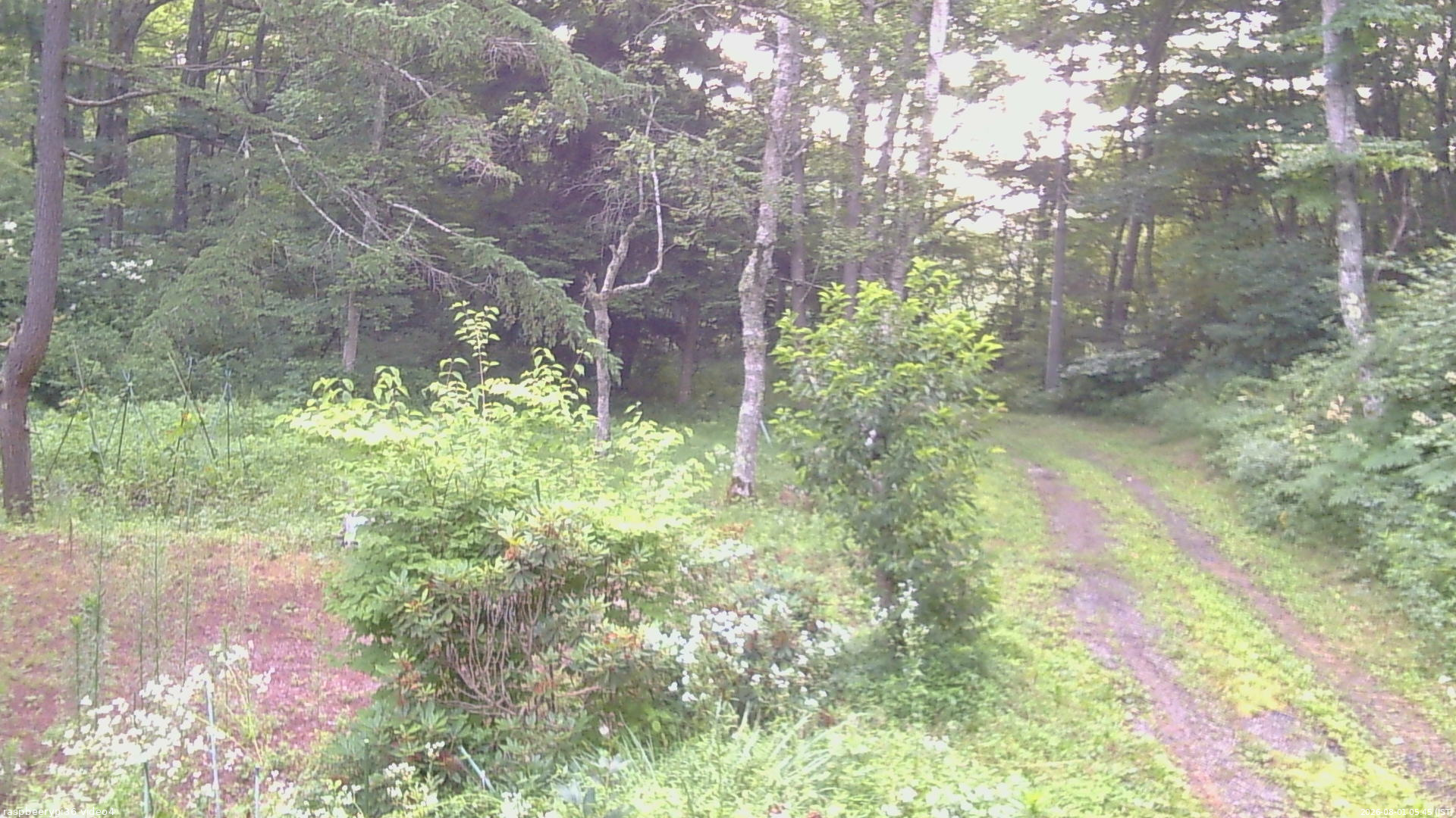 長野県菅平高原 ゆたか山荘 坂上 2026/08/01 05:45