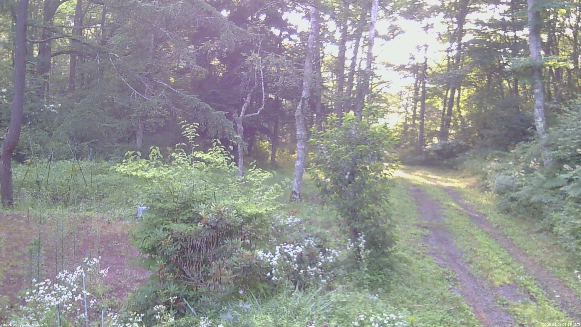長野県菅平高原 ゆたか山荘 坂上 2026/08/01 06:15