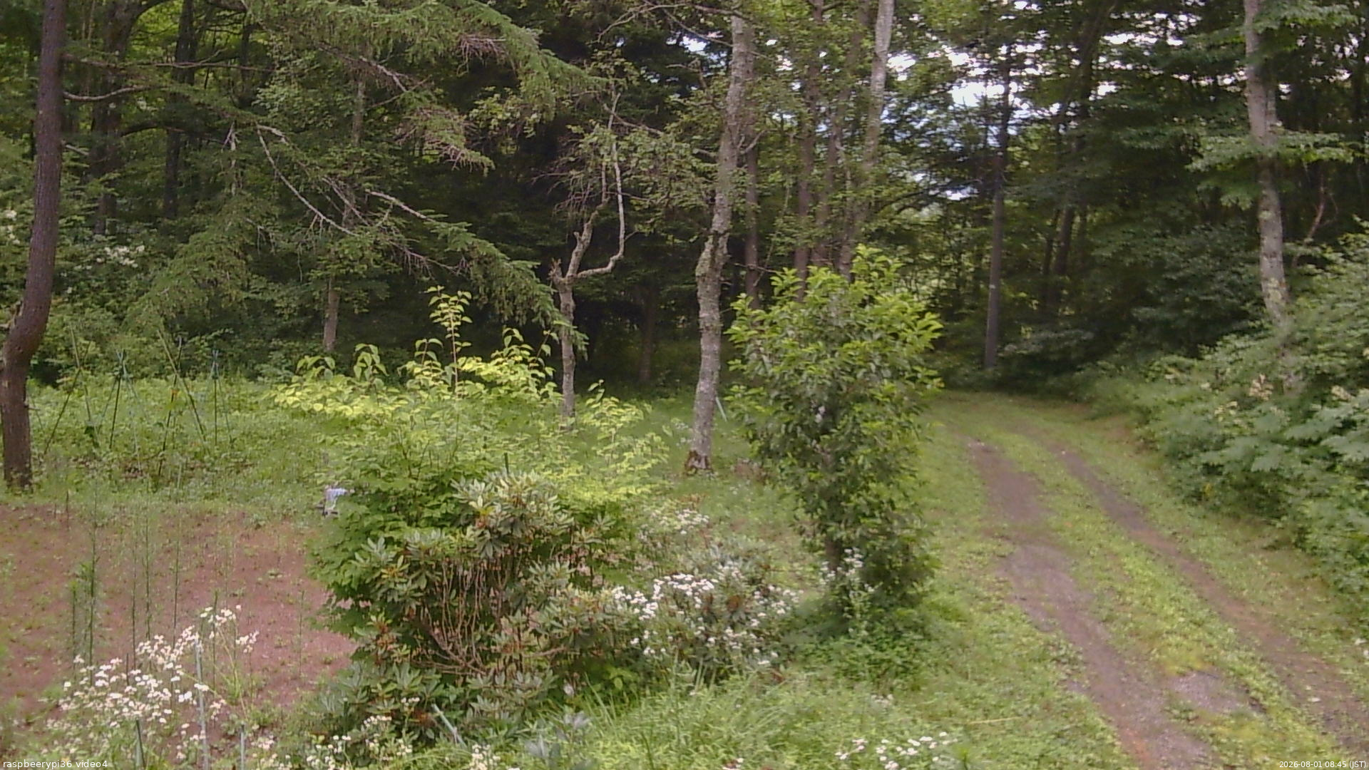 長野県菅平高原 ゆたか山荘 坂上 2026/08/01 08:45