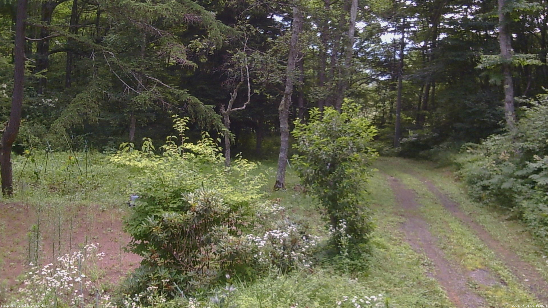 長野県菅平高原 ゆたか山荘 坂上 2026/08/01 09:45