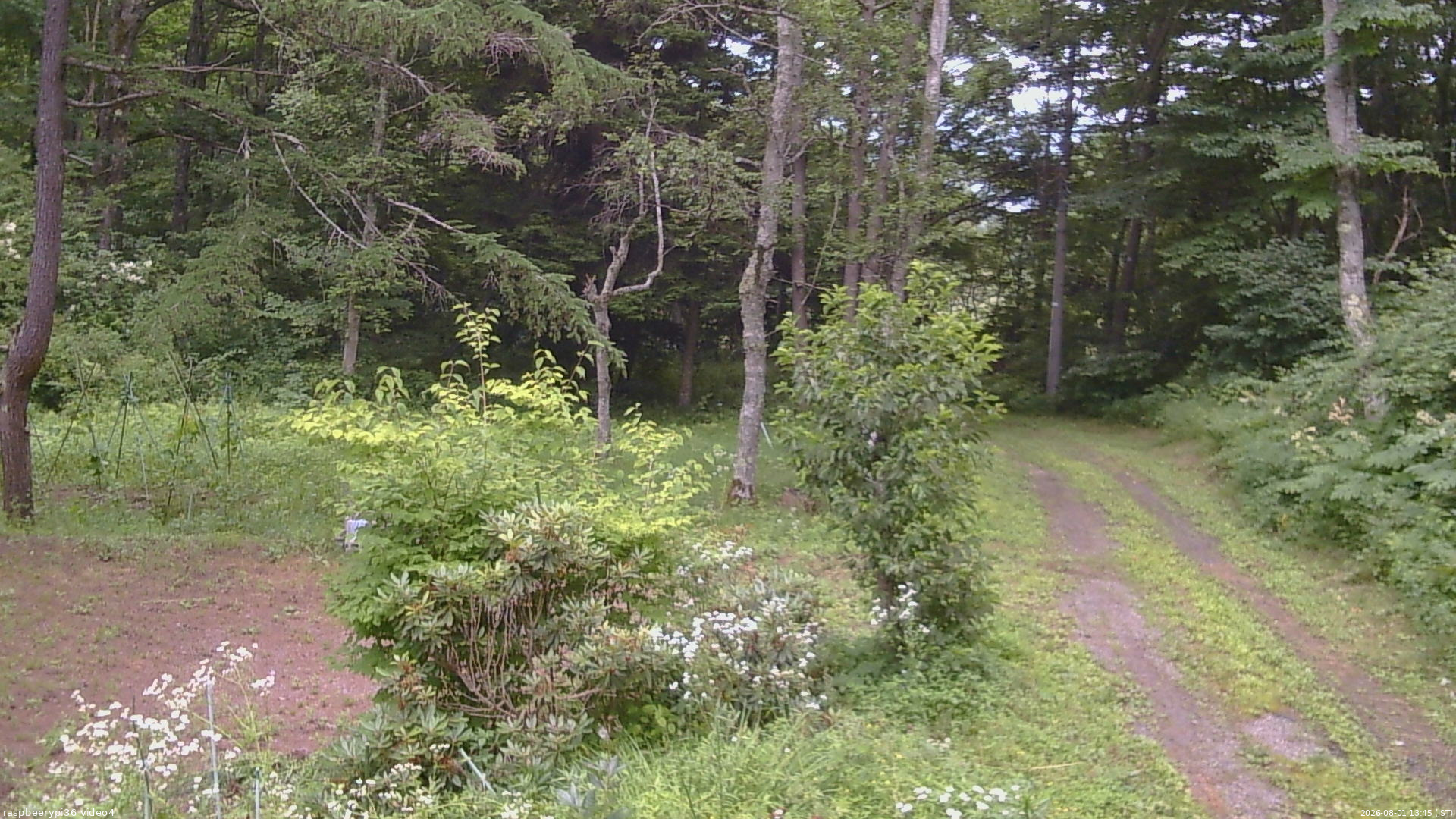 長野県菅平高原 ゆたか山荘 坂上 2026/08/01 13:45