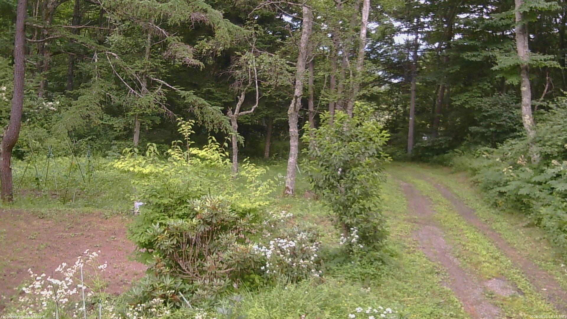 長野県菅平高原 ゆたか山荘 坂上 2026/08/01 14:15