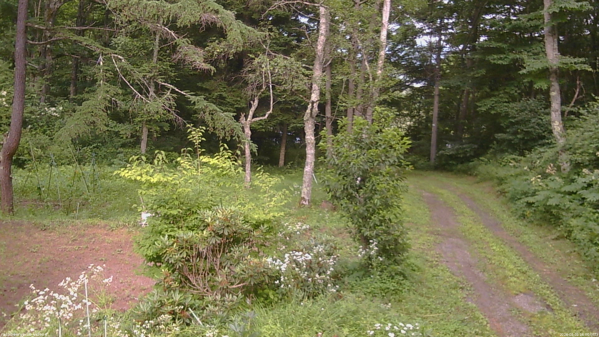長野県菅平高原 ゆたか山荘 坂上 2026/08/01 16:00