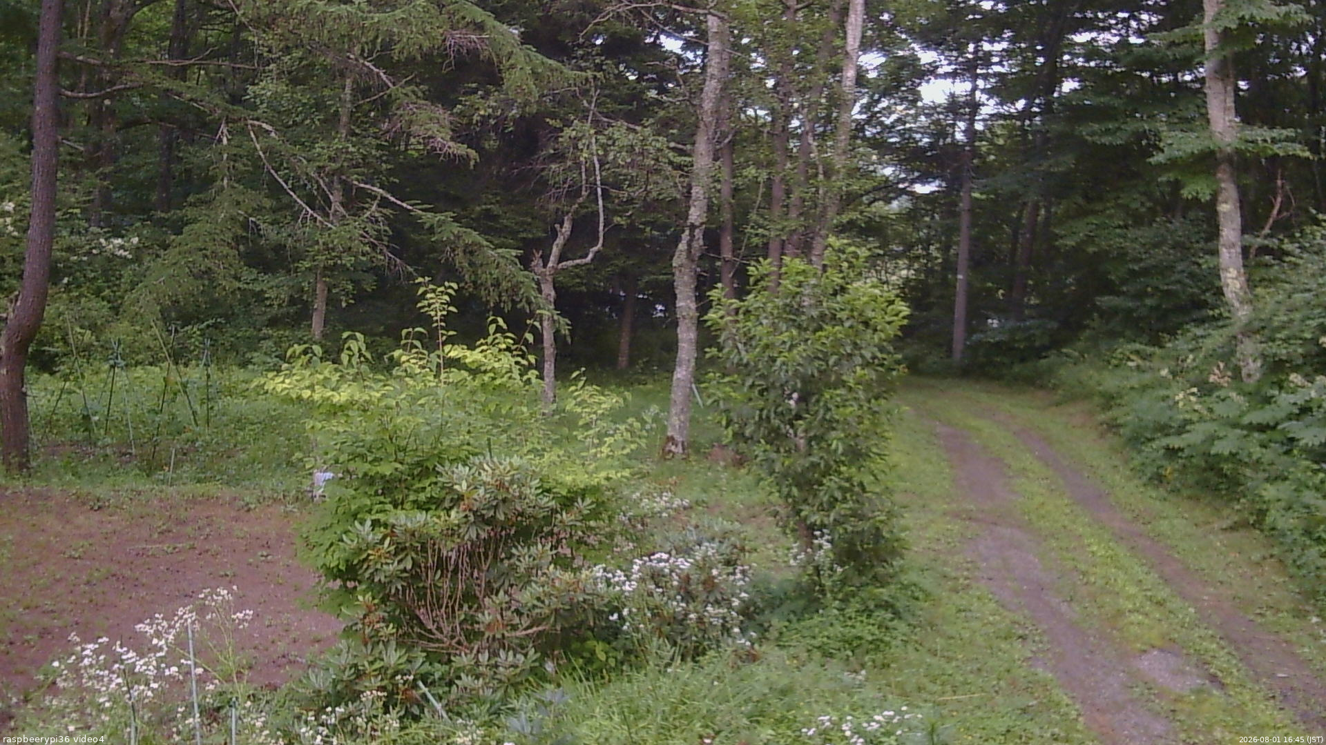 長野県菅平高原 ゆたか山荘 坂上 2026/08/01 16:45