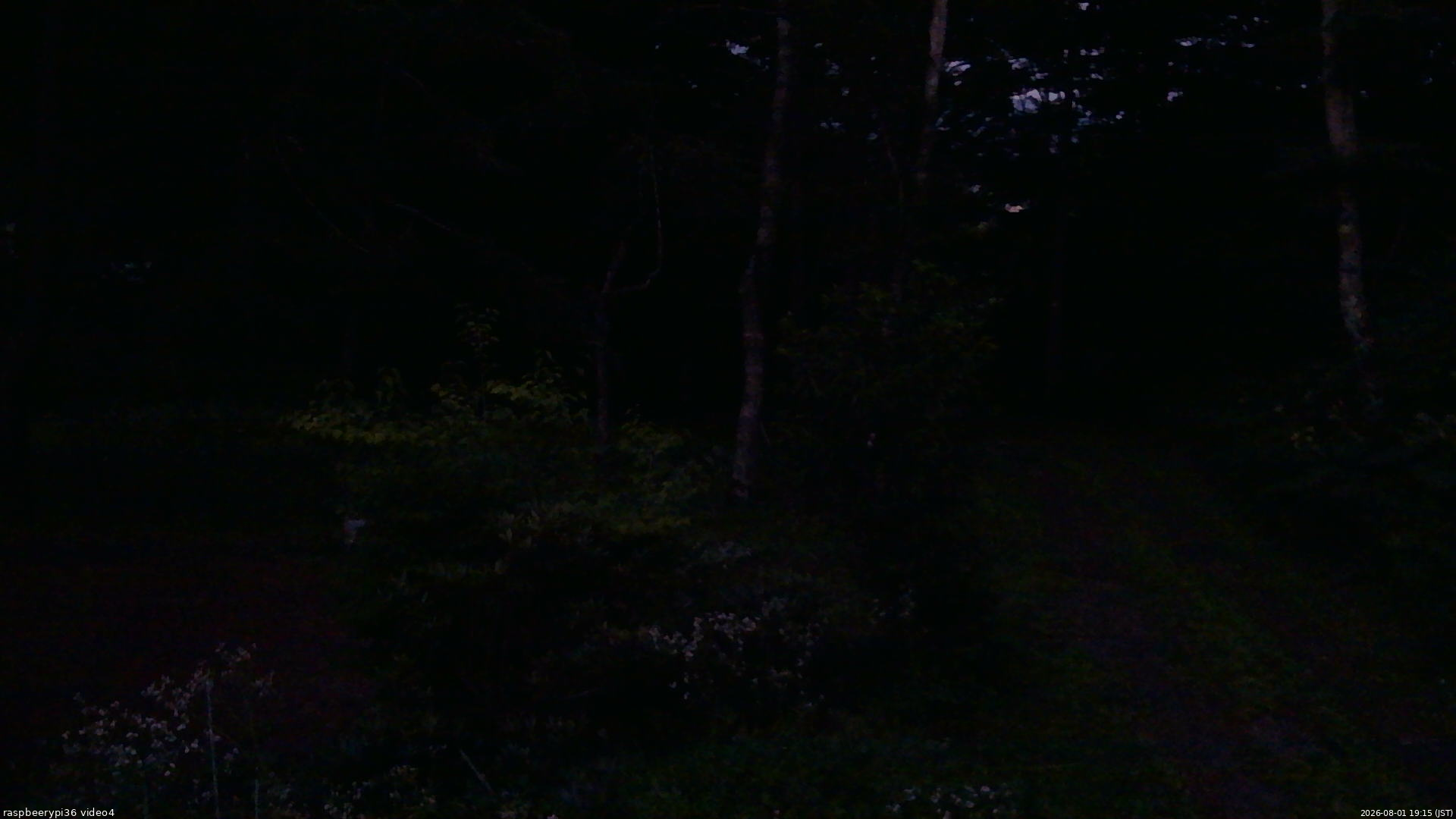 長野県菅平高原 ゆたか山荘 坂上 2026/08/01 19:15
