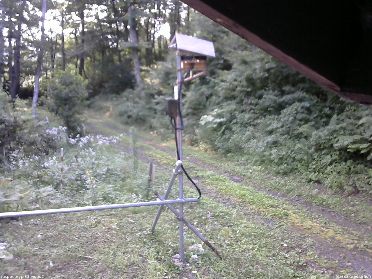 長野県菅平高原 ゆたか山荘 南側 2026/08/02 06:30