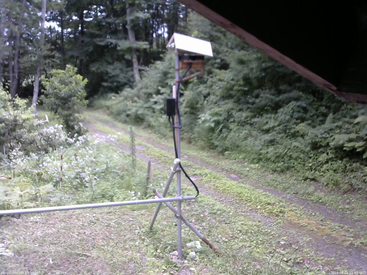 長野県菅平高原 ゆたか山荘 南側 2026/08/02 11:45