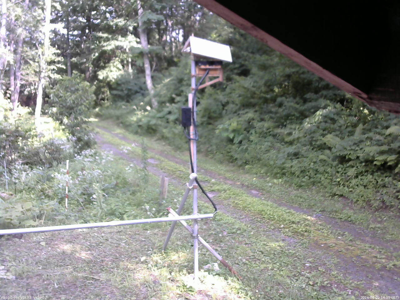長野県菅平高原 ゆたか山荘 南側 2026/08/02 14:15