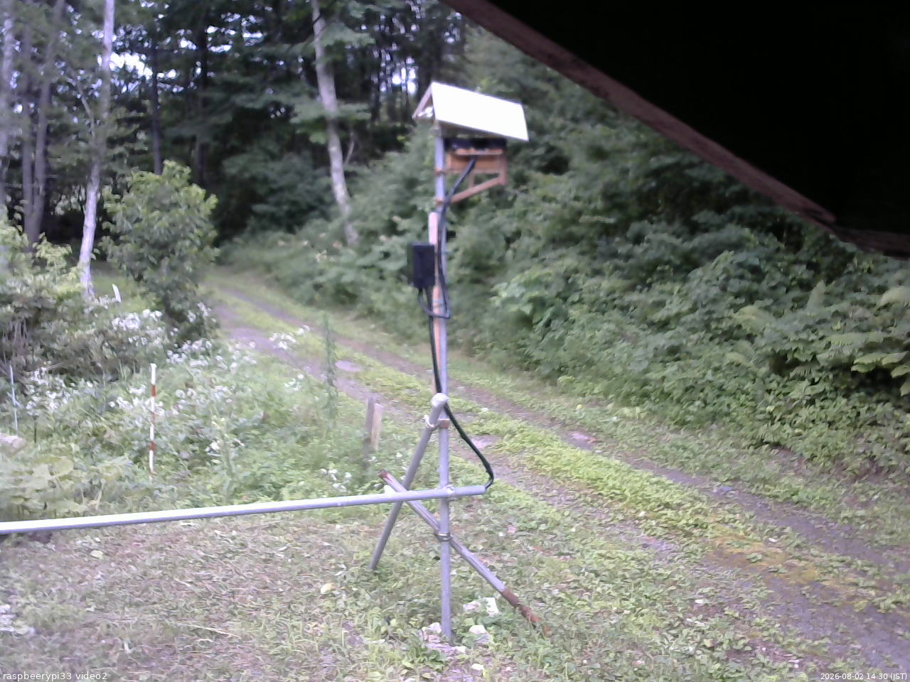 長野県菅平高原 ゆたか山荘 南側 2026/08/02 14:30
