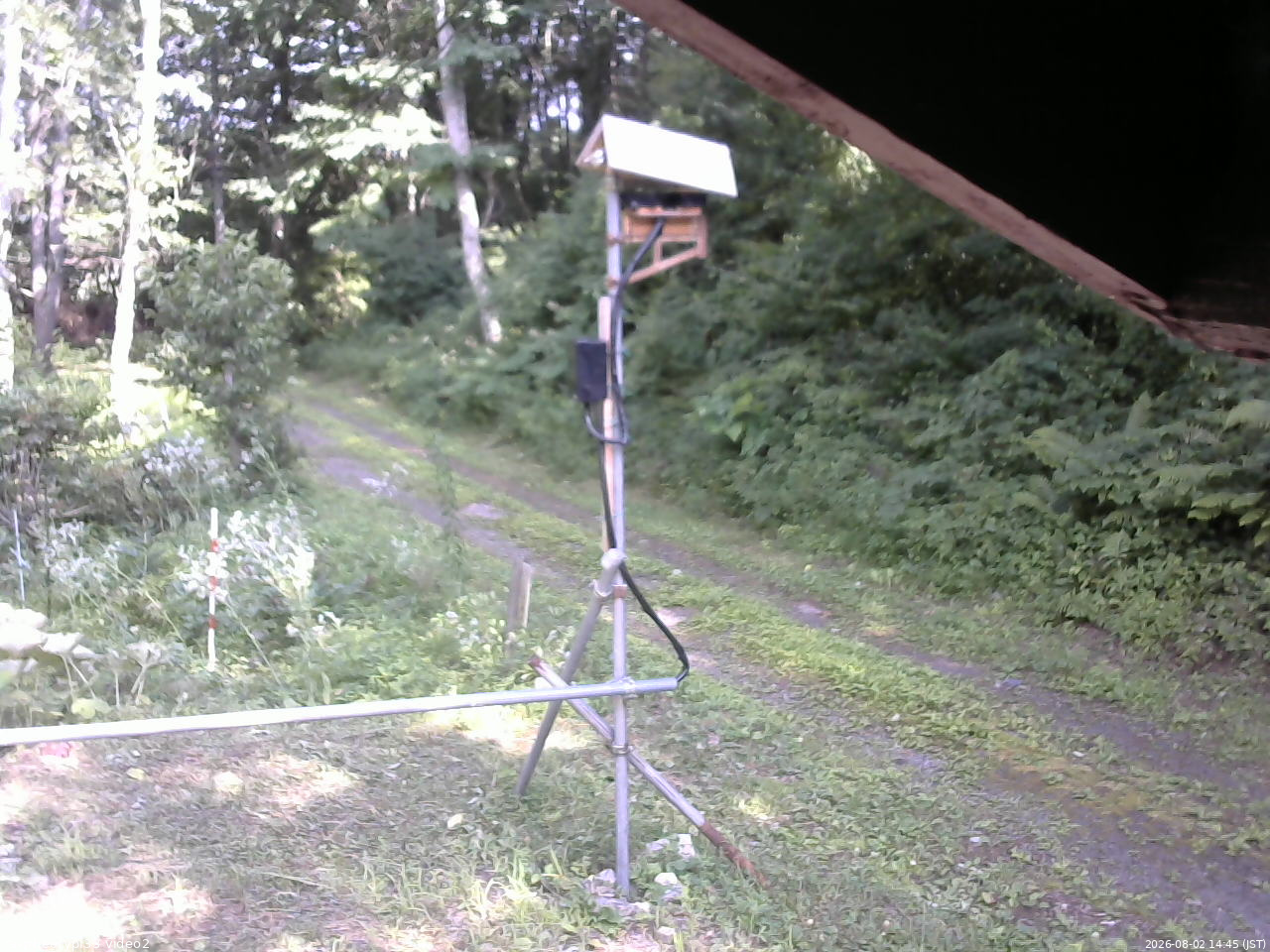 長野県菅平高原 ゆたか山荘 南側 2026/08/02 14:45