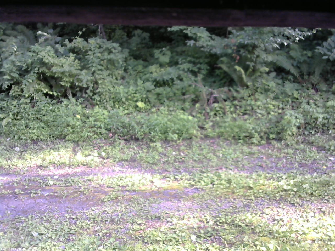 長野県菅平高原 ゆたか山荘 東側(坂下) 2026/08/02 16:30