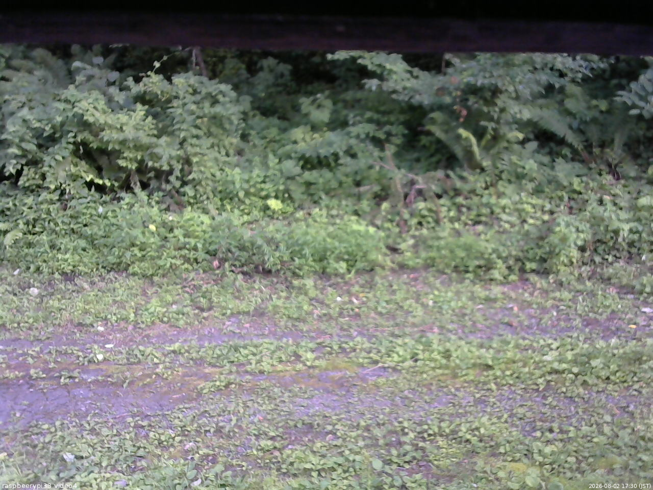 長野県菅平高原 ゆたか山荘 東側(坂下) 2026/08/02 17:30