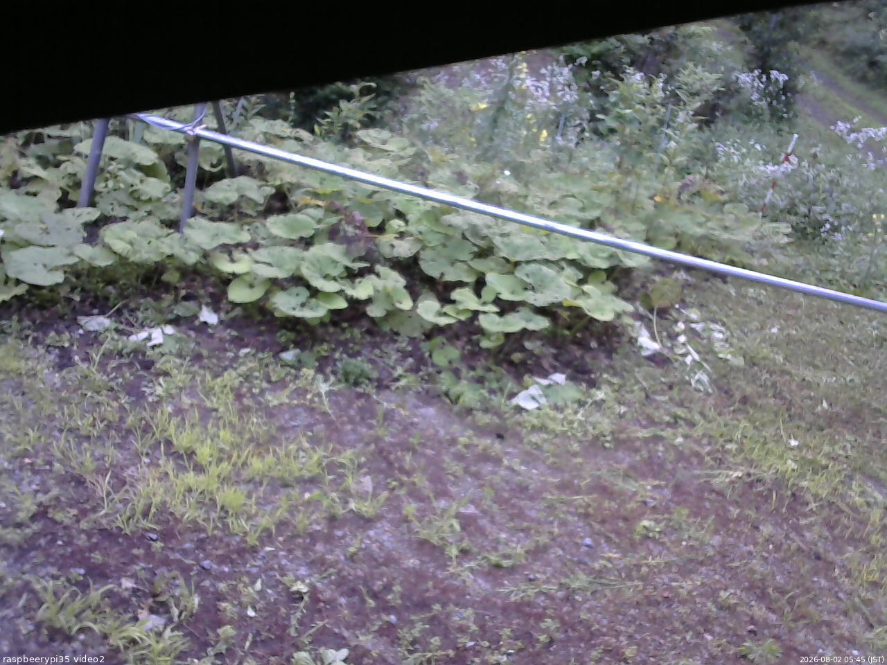 長野県菅平高原 ゆたか山荘 駐車場 2026/08/02 05:45