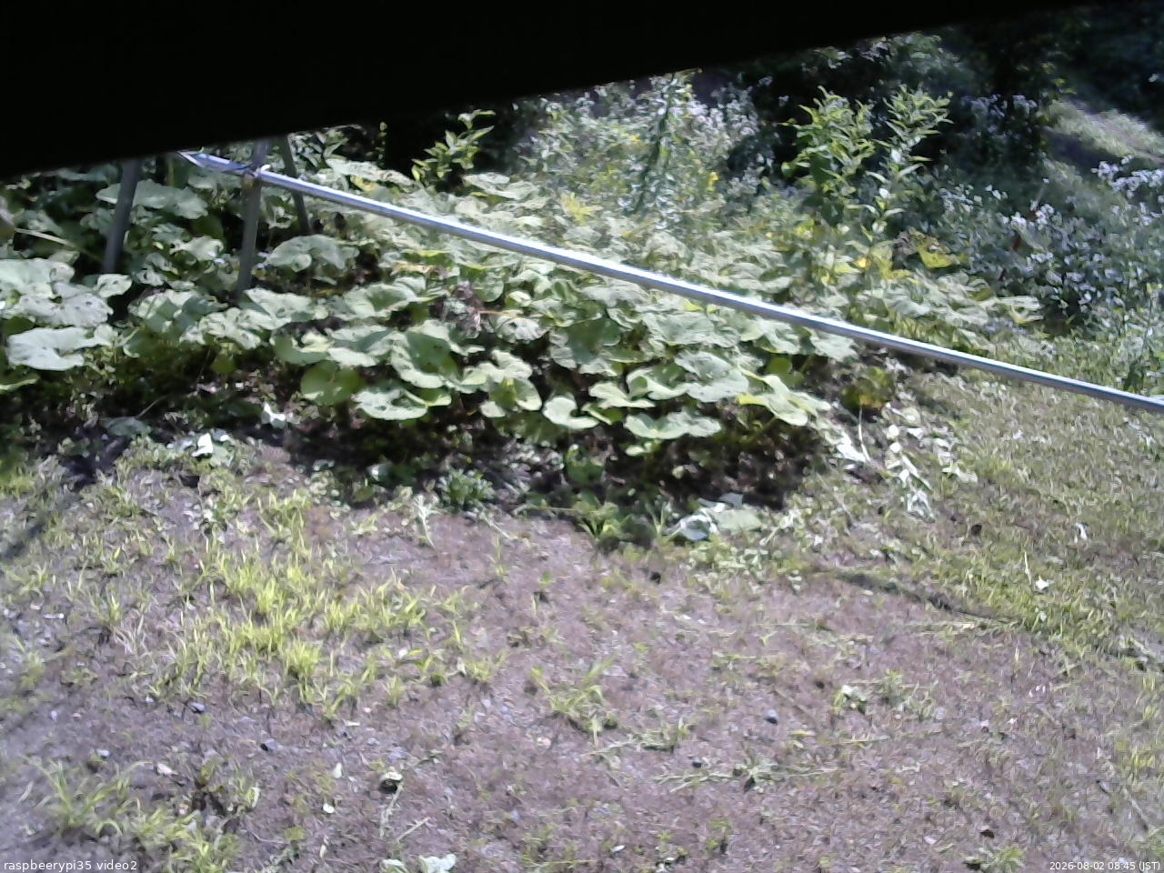 長野県菅平高原 ゆたか山荘 駐車場 2026/08/02 08:45