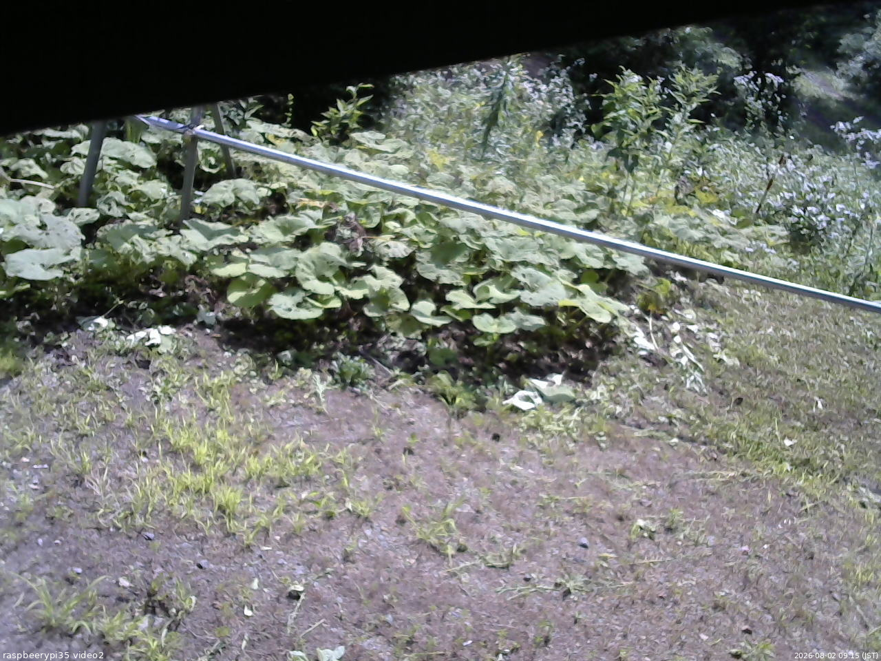 長野県菅平高原 ゆたか山荘 駐車場 2026/08/02 09:15
