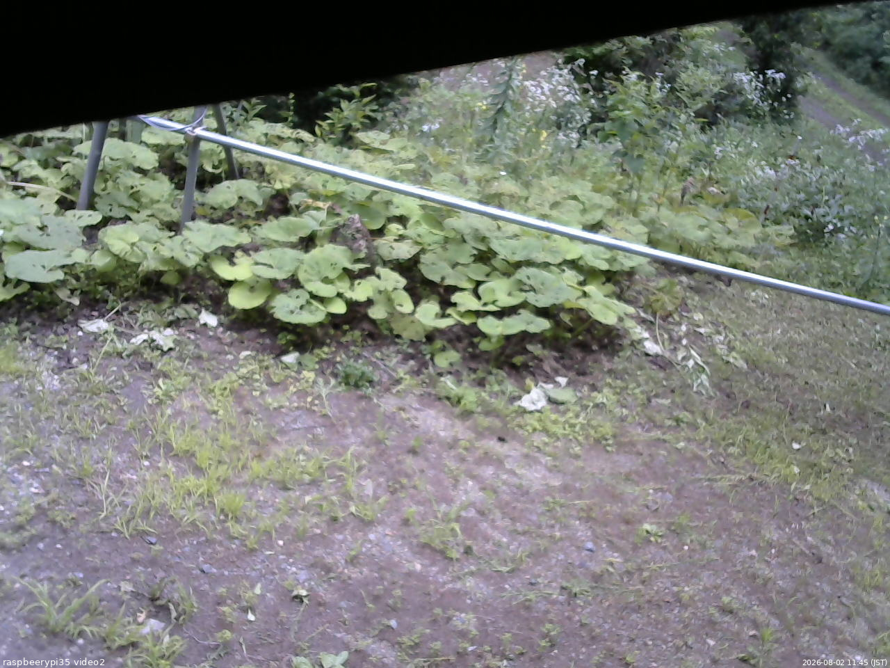 長野県菅平高原 ゆたか山荘 駐車場 2026/08/02 11:45
