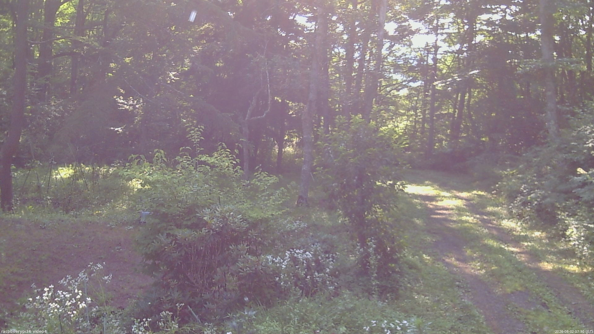 長野県菅平高原 ゆたか山荘 坂上 2026/08/02 07:30