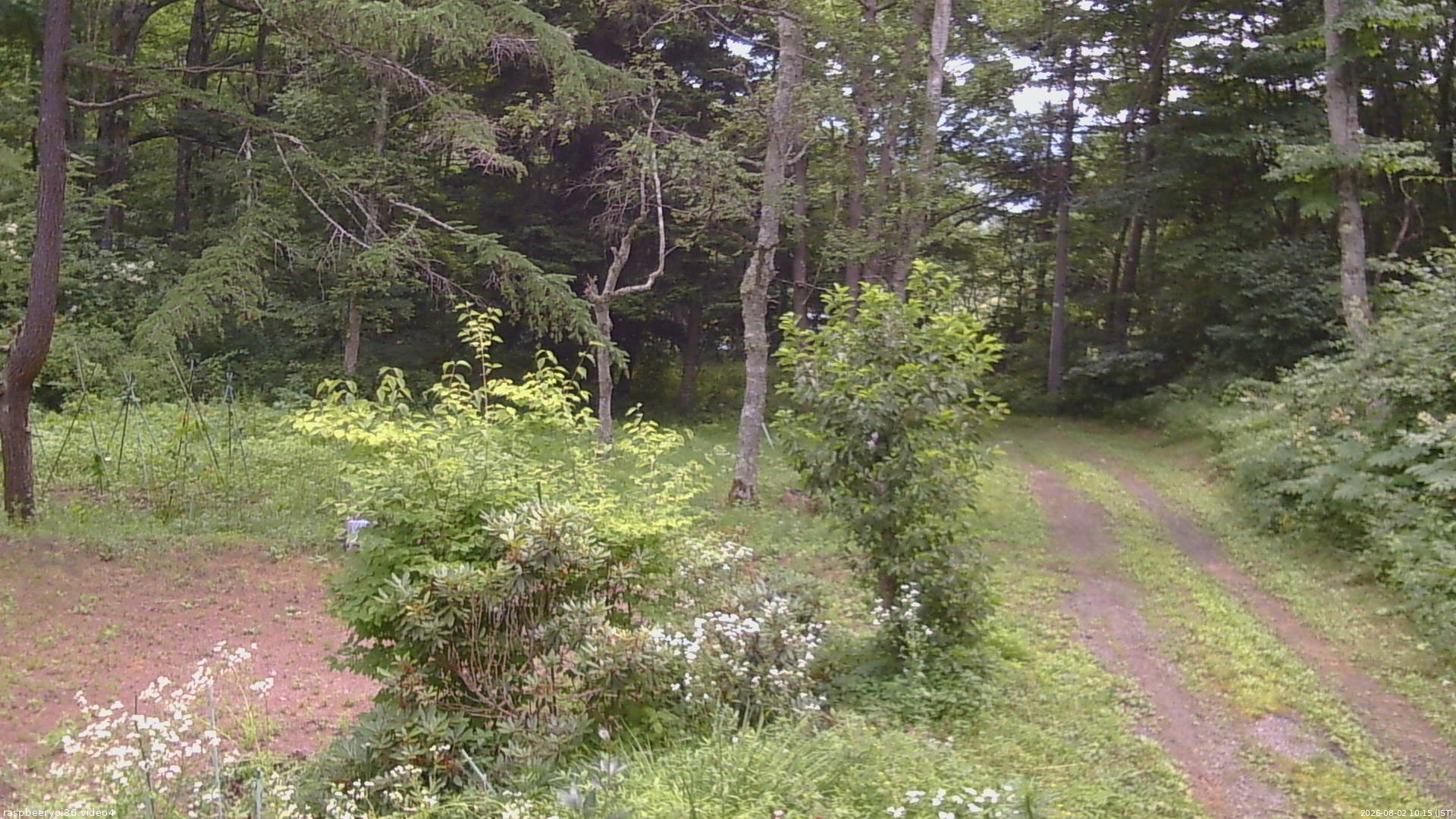 長野県菅平高原 ゆたか山荘 坂上 2026/08/02 10:15