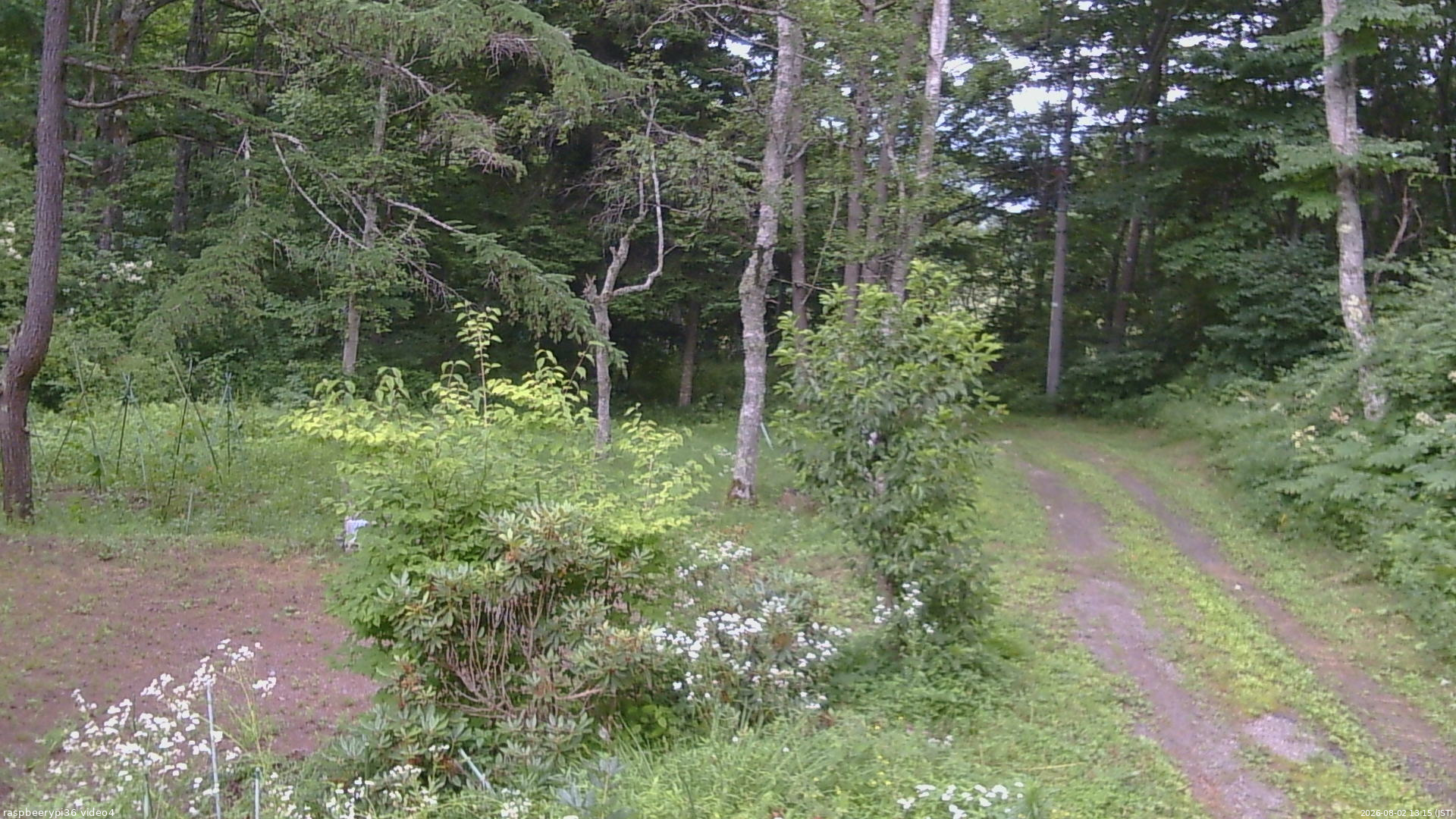 長野県菅平高原 ゆたか山荘 坂上 2026/08/02 13:15