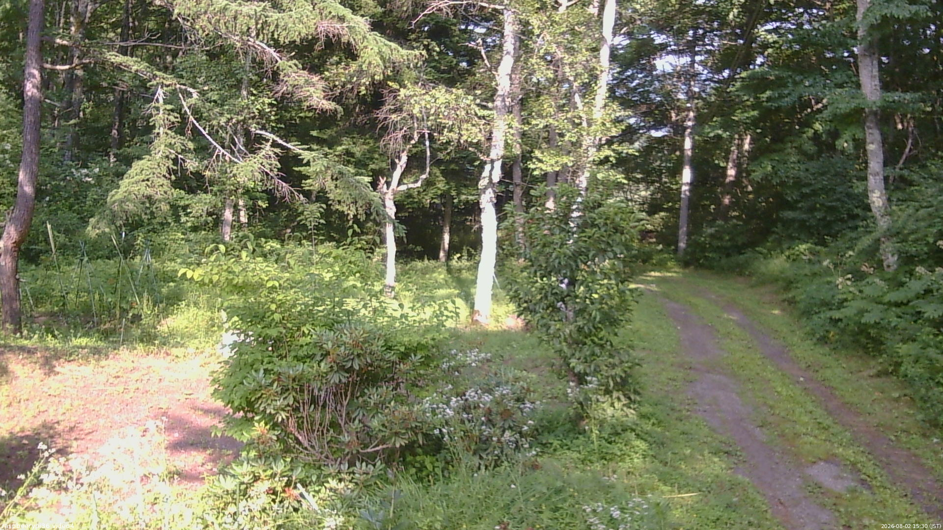 長野県菅平高原 ゆたか山荘 坂上 2026/08/02 15:30