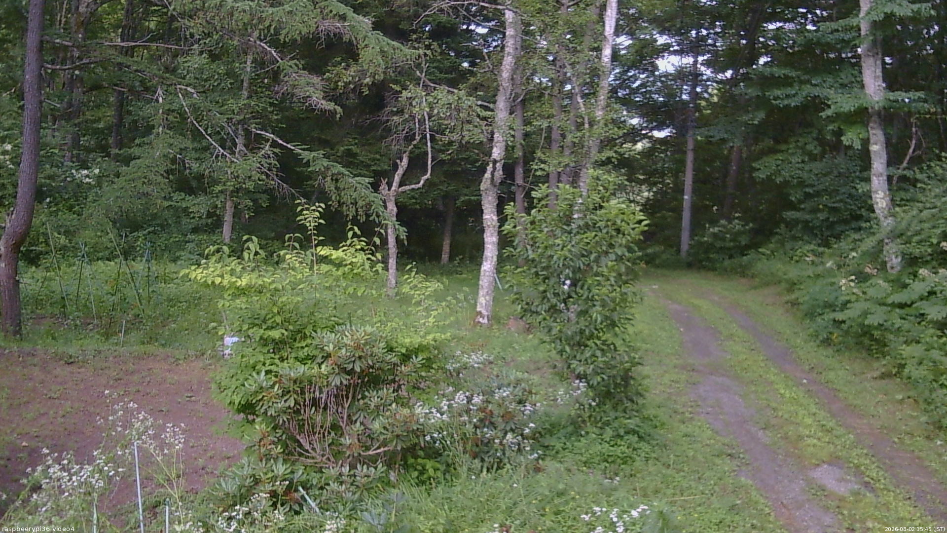 長野県菅平高原 ゆたか山荘 坂上 2026/08/02 15:45